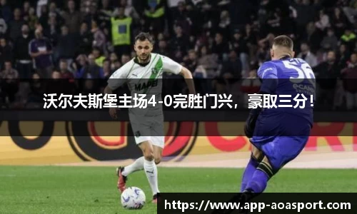 aoa体育官网